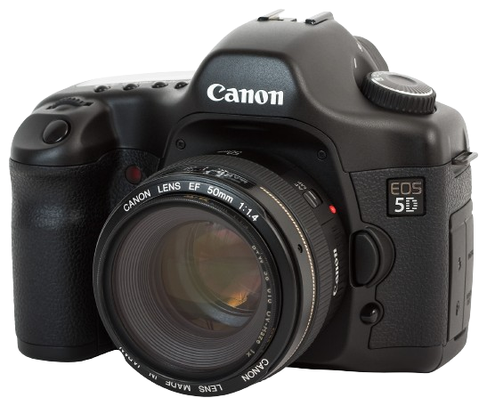 5D