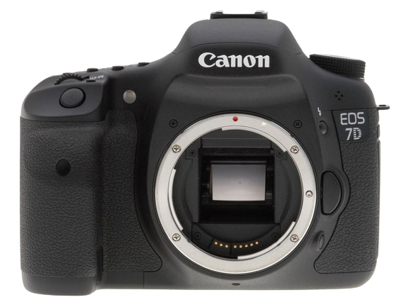 7D