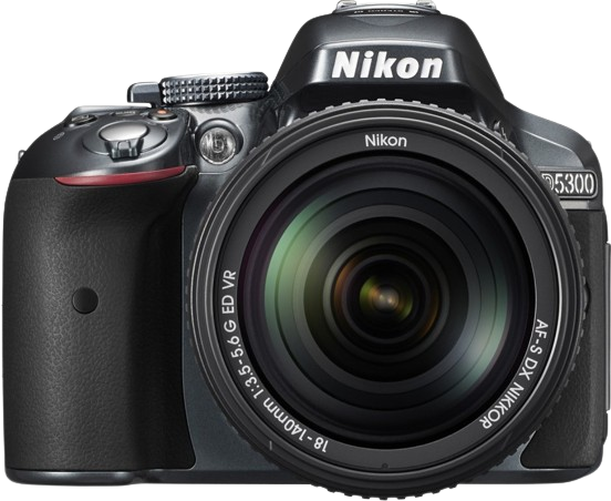 D5600