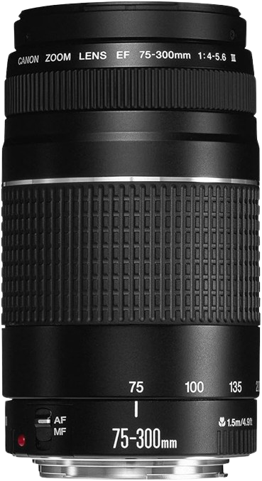 Canon EF 75-300mm 1:4-5.6 III